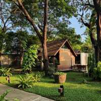 Cocoon.bkk อยู่ตรงข้าม "เมกาบางนา"