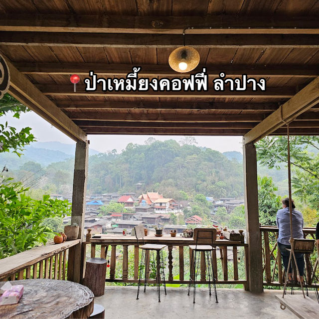 📍ป่าเหมี้ยงคอฟฟี่ ลำปาง
