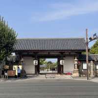 走訪京都東寺