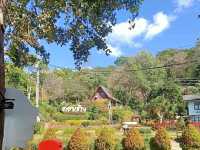 🌳ศูนย์วิจัยและพัฒนาการเกษตรที่สูงวาวี