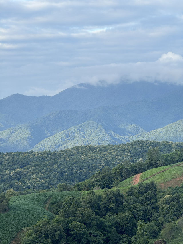 ภูเขาเทเลทับบี้ | จ.แพร่ ⛰️🌧️🌿🌳