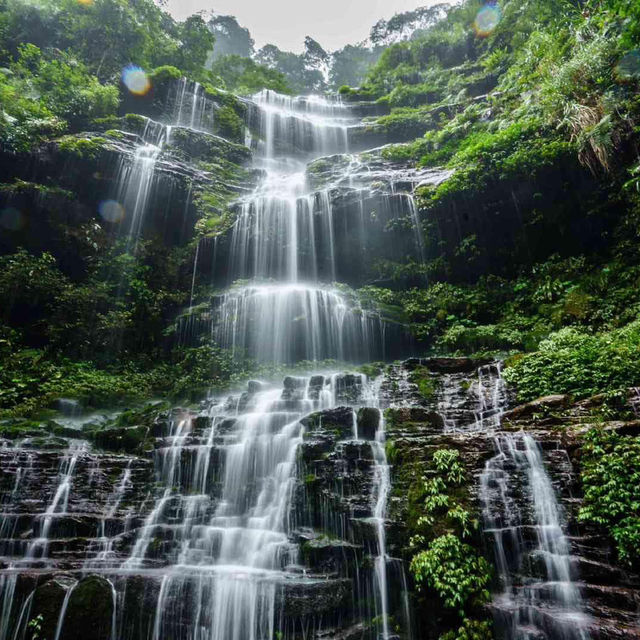 Bifengxia Panda Base, Ya’an