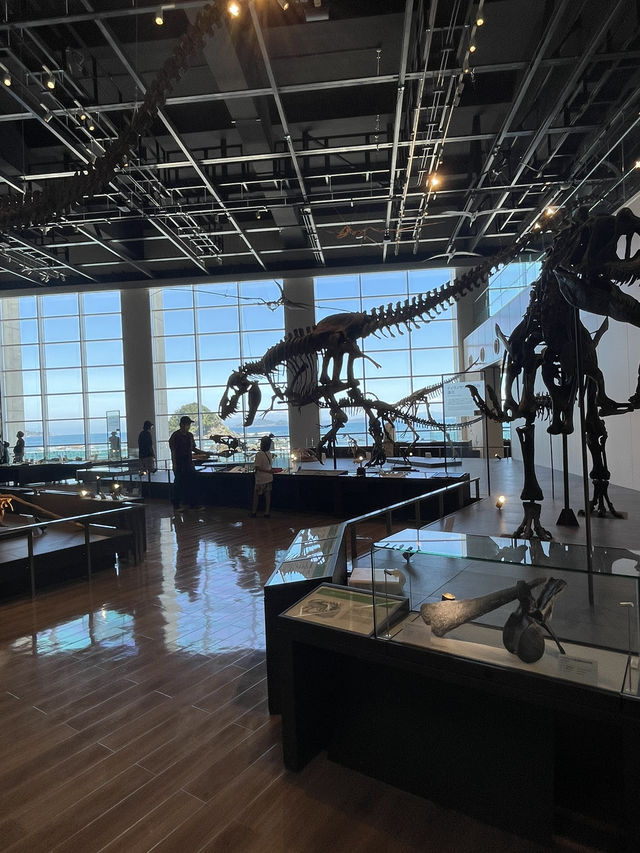 【長崎県:野母崎】大迫力の恐竜の化石を見て学べる展示