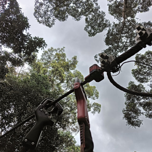 Skytrex Adventure