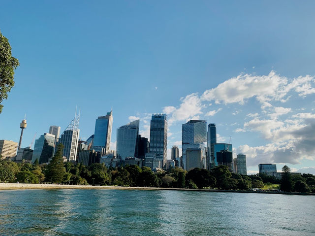 Royal Botanic Garden Sydney