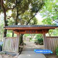 横浜観光おすすめスポット✨横浜公園『彼我公園』