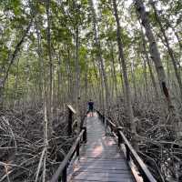 Forest park Thailand 