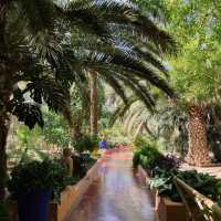 YSL garden and museum in Morocco