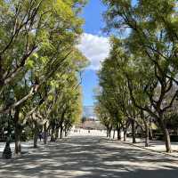A Day in the Heart of Greece: Exploring Athens