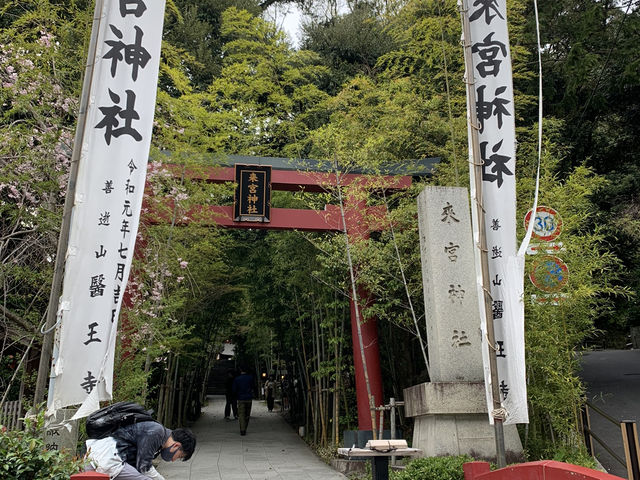 熱海観光　来宮神社