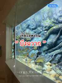 เที่ยวสุพรรณ บึงฉวาก aquarium 🐟