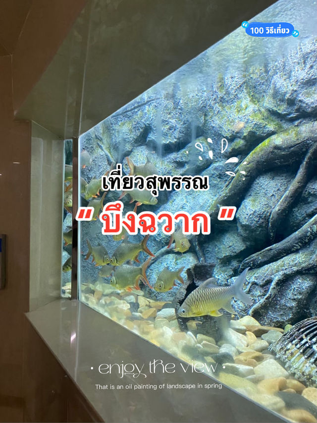 เที่ยวสุพรรณ บึงฉวาก aquarium 🐟