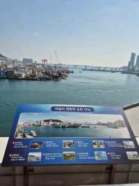 Jagalchi Seafood Market Busan 🦞🐟🐠🐚