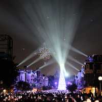 A Holiday Wish-Come-True Tree Lighting Ceremony 