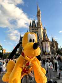 ย้อนวัยเด็ก พาเที่ยว Tokyo Disneyland 🏰🎌