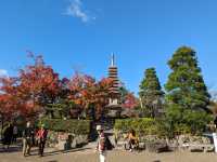 <京都 清水寺> 🇯🇵🍂名滿天下的賞楓勝地！ 