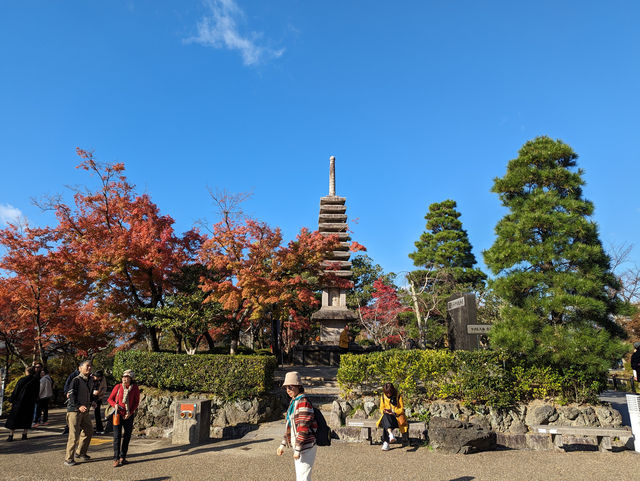 <京都 清水寺> 🇯🇵🍂名滿天下的賞楓勝地！ 