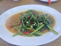 ชอบโภชนา @ จันทบุรี ร้านข้าวต้มเด็ดจันทบุรี 🥢🍺