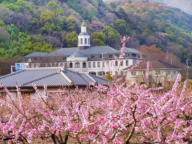 德國館 德國館