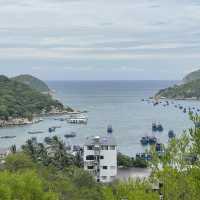 Yên bình không đắt