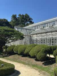 World Heritage Site Changdeokgung Palace and Secret garden (shhhh!)