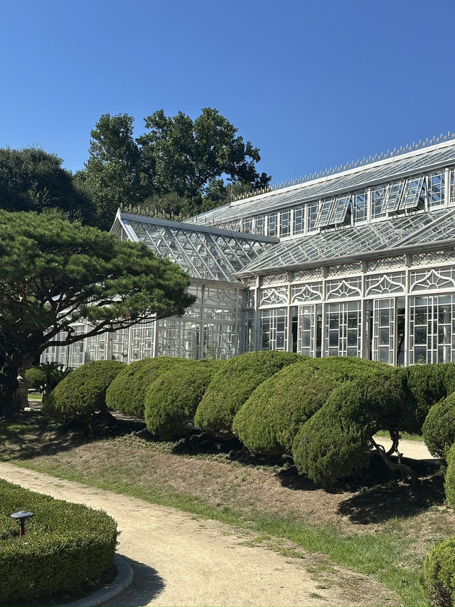 World Heritage Site Changdeokgung Palace and Secret garden (shhhh!)