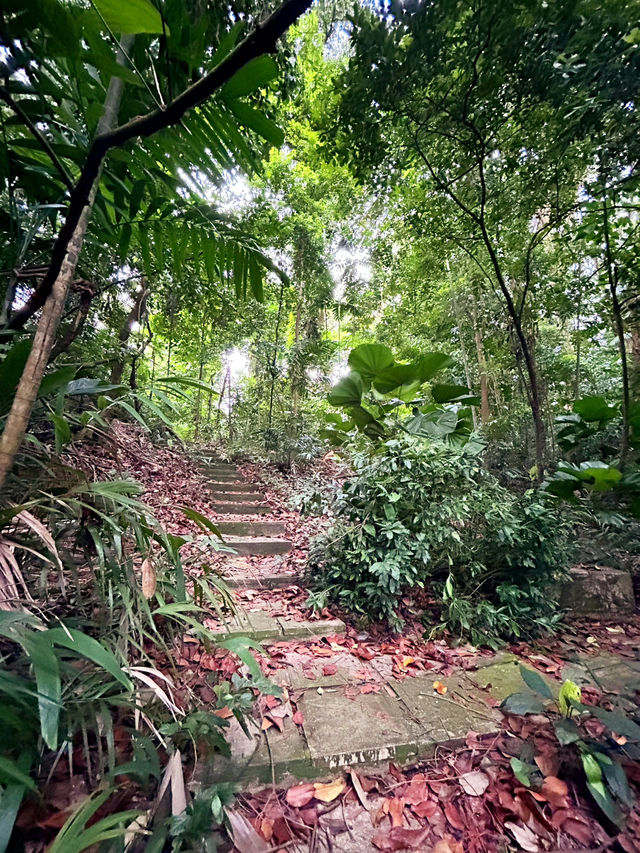 Hiking at Labrador Secret Tunnel Trail 