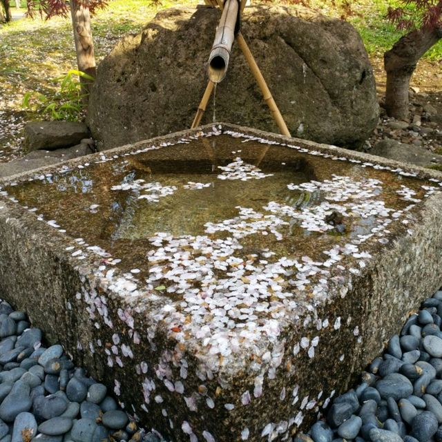 札幌中島公園
