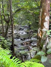 Escape to Nature: Sungai Congkak Recreational Forest