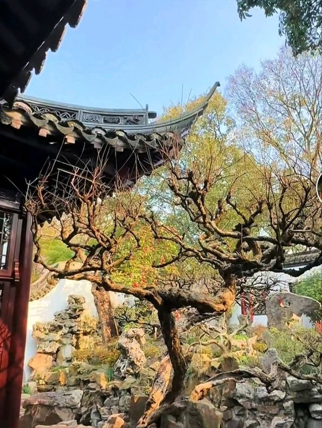 YuYuan garden สวนสวยกลางเมืองเซี่ยงไฮ้