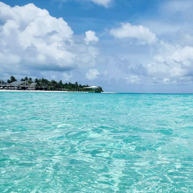 Tropical Bliss: A Perfect Escape at The Standard, Maldives 🇲🇻