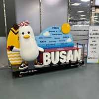韓国釜山inアラフォー修学旅行