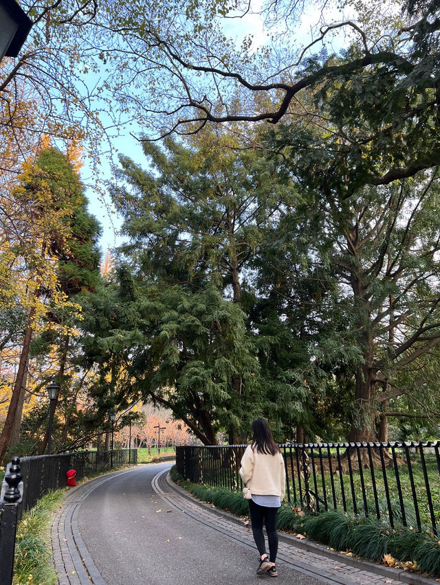 가을엔 무조건 가야할 📍상해 중산공원(中山公园)🍂🍁