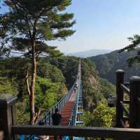 소금산 출렁다리(원주)