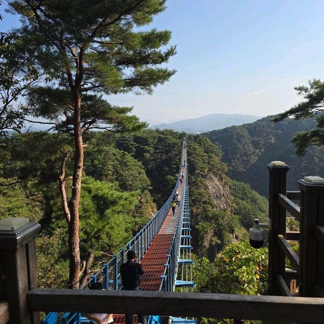 소금산 출렁다리(원주)
