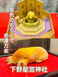 【栃木県】金色のもぐらで金運万来