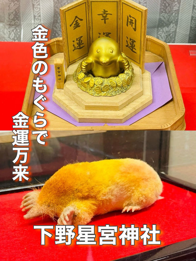 【栃木県】金色のもぐらで金運万来