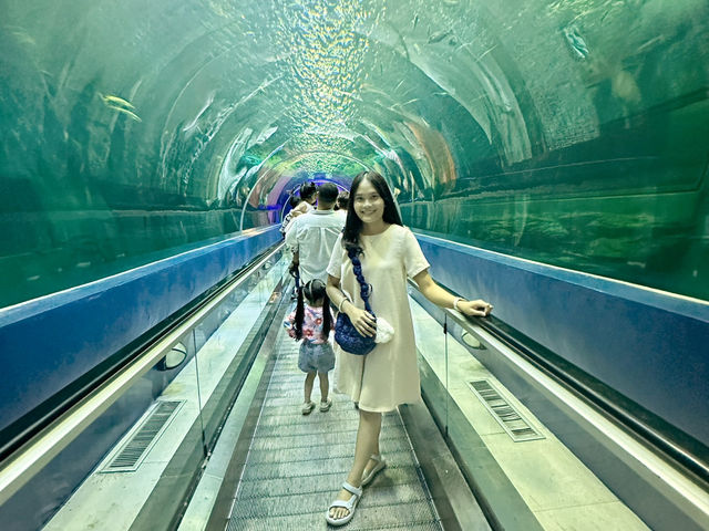 ตะลุยโลกใต้ทะเลที่อควาเรียมบางแสน 🌊🐠