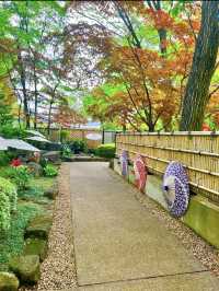 〜東京都〜上野東照宮・最強パワスポとダリア展