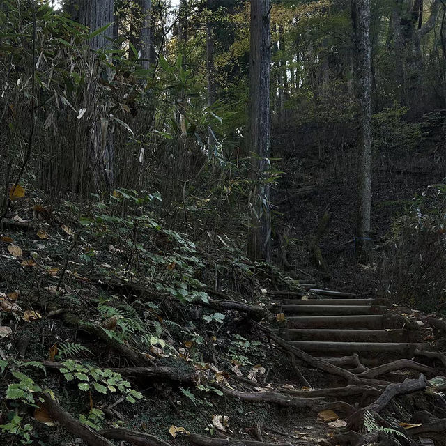 三池岳：初秋絕美🏞️🍂