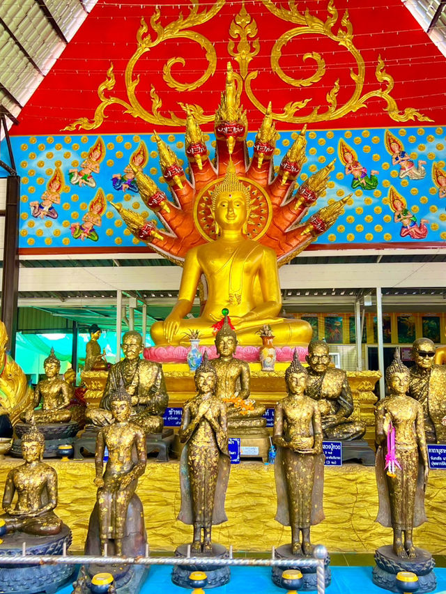 สายมูต้องมา