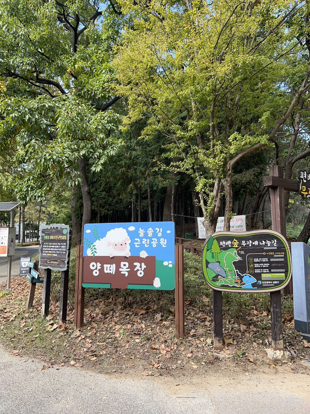 인천 가을 단풍 명소, 인천 가볼 만한 곳