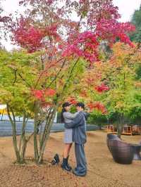 무주 단풍핫플을 찾으신다면 여기예요🍁