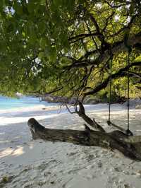 1 Day Trip หมู่เกาะสิมิลัน ทะเลสวยอันดามัน