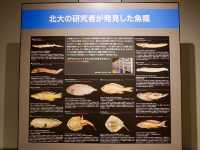 【北海道・札幌】無料の域を超えた必見博物館🎓
