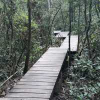 ⛰️ผาเดียวดาย เขาใหญ่🍃