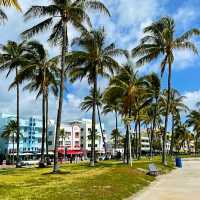 MESMERISING MIAMI BEACH ⛱️.