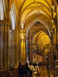 호주 시드니 시내에서 본 웅장한 성당 ⛪