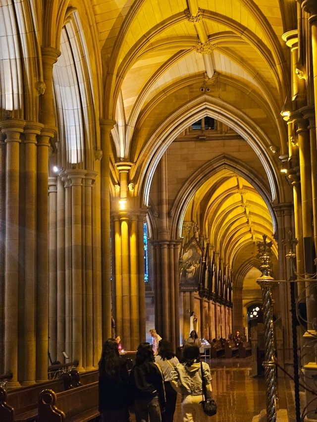 호주 시드니 시내에서 본 웅장한 성당 ⛪