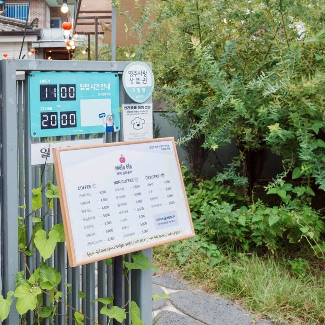 야외 정원에서 보내는 특별한 시간
